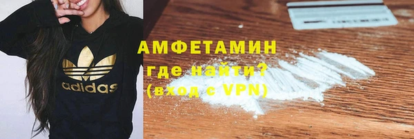 индика Медногорск
