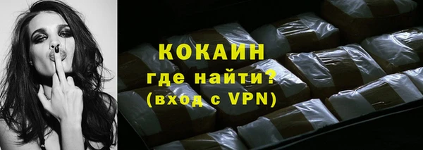 индика Медногорск