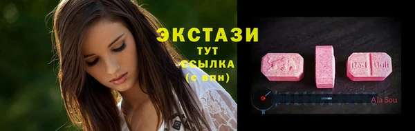 индика Медногорск