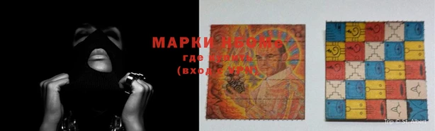 индика Медногорск