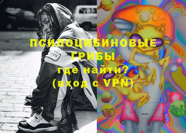 бошки Медвежьегорск