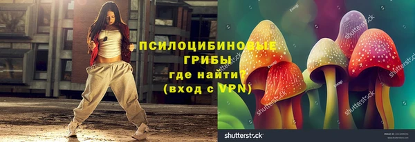 индика Медногорск