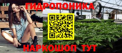 гашик Волгодонск