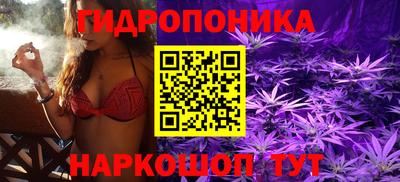 молекула духа Гай