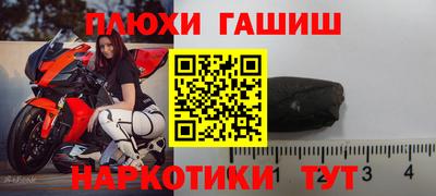 крисы Моздок