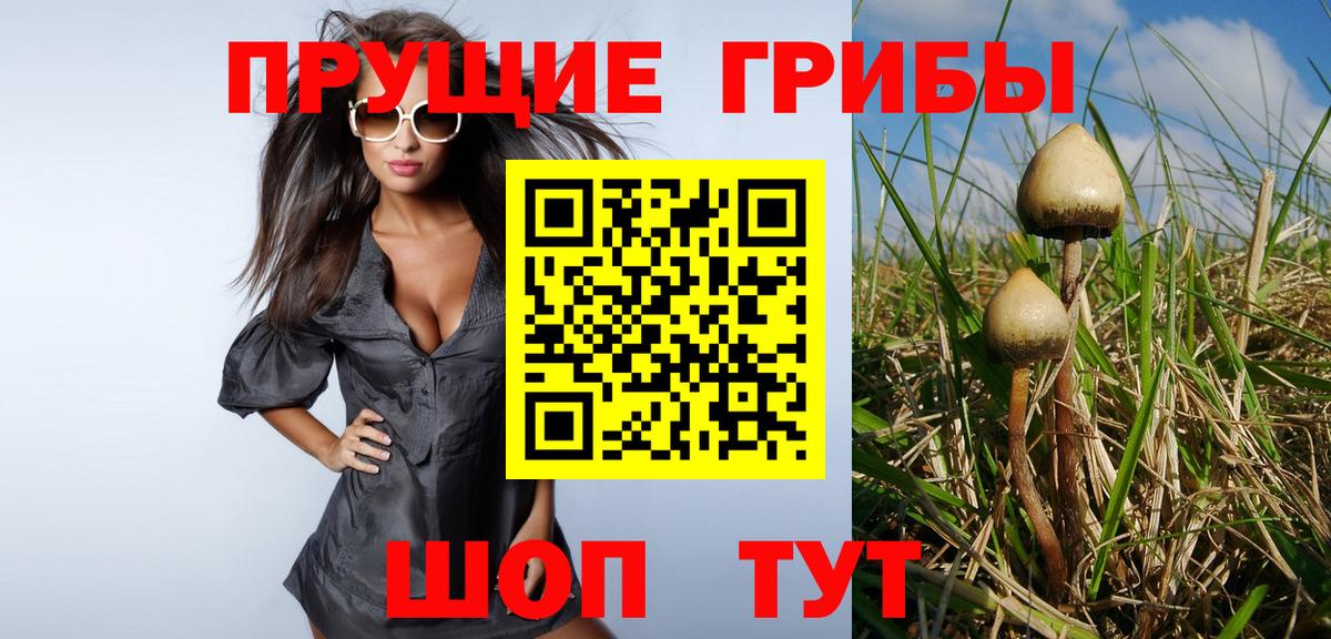 как найти   Вход с VPN  Ишим  Галлюциногенные грибы Psilocybine cubensis 